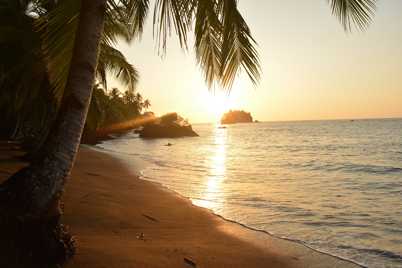 La Joviseña Jardin Bio Et Cocotiers Chez Lhabitant